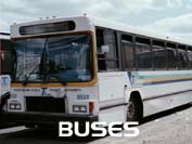 Buses